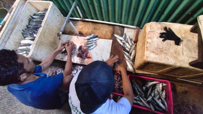 IKAN BAKAR - Usman, salah seorang pekerja di RM. Ikan Bakar Kali Udang tengah memotong ikan, Selasa (14/10/2025)