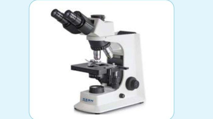 Kunci Jawaban IPA Kelas 8 Halaman 25 26 Kurikulum Merdeka 1