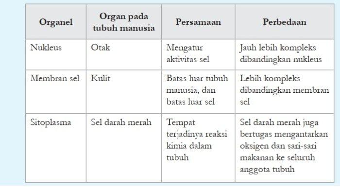 Kunci Jawaban IPA Kelas 8 Halaman 25 26 Kurikulum Merdeka jawaban 13