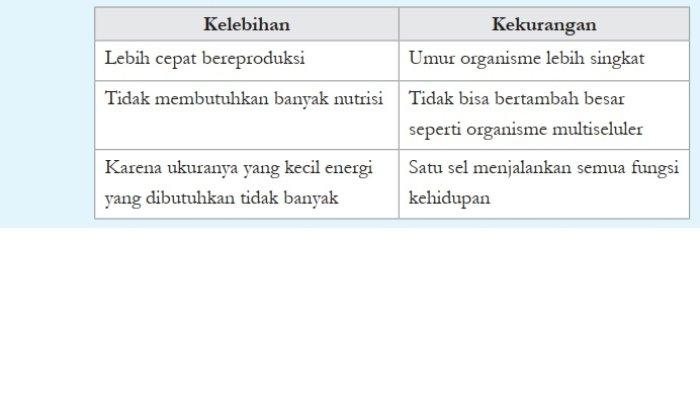 Kunci Jawaban IPA Kelas 8 Halaman 25 26 Kurikulum Merdeka jawaban 14b