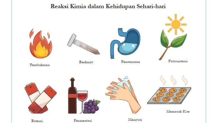 Kunci Jawaban IPA Kelas 9 Halaman 111 Kurikulum Merdeka 1