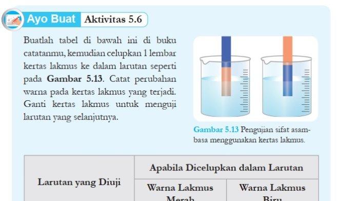 Kunci Jawaban IPA Kelas 9 Halaman 125 Kurikulum Merdeka cover