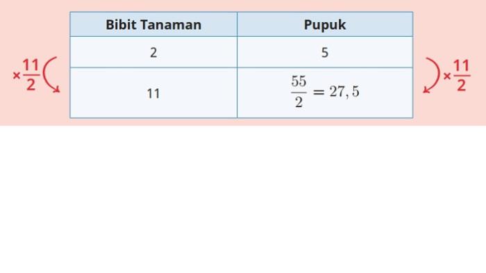 Kunci Jawaban Matematika Kelas 6 SD Kurikulum Merdeka Halaman 60 jawaban 1