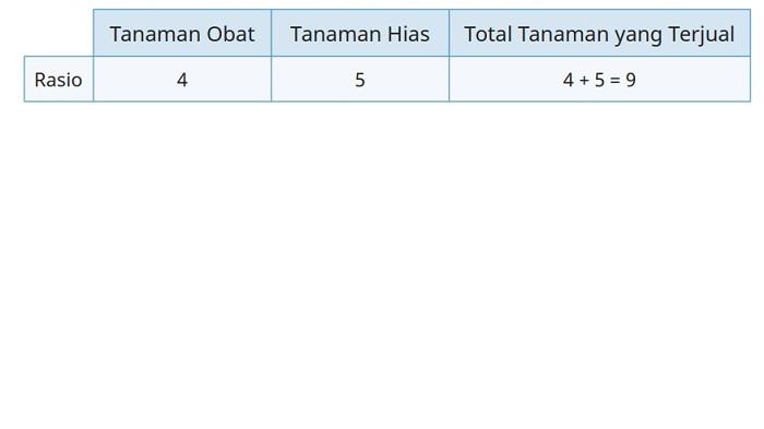Kunci Jawaban Matematika Kelas 6 SD Kurikulum Merdeka Halaman 66 67 jawaban b