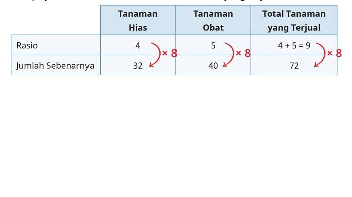 Kunci Jawaban Matematika Kelas 6 SD Kurikulum Merdeka Halaman 66 67 jawaban d