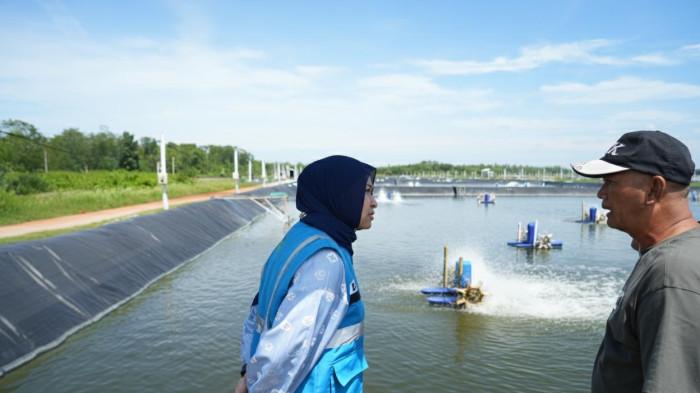20251030 lokasi tambak udang
