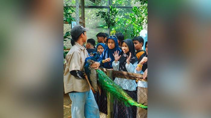 Amanah Borneo Park membuka beragam pilihan paket wisata 56