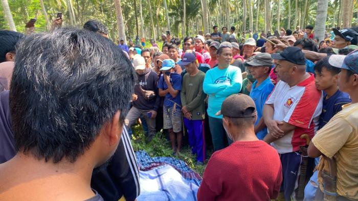 MAYAT KARYAWAN - Karyawan koperasi PNM BUMN ditemukan tewas tak wajar di dalam kebun kelapa miliki warga di Desa Sarjo, Kecamatan Sarjo, Kabupaten Pasangkayu, Sulawesi Barat (Sulbar), Sabtu (20/9/2025) pagi.
