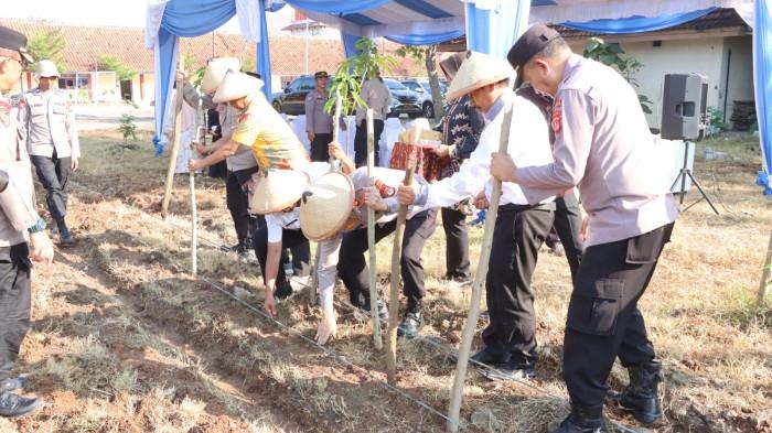 PENANAMAN JAGUNG - Polres Indramayu saat melakukan kegiatan penanaman jagungsw