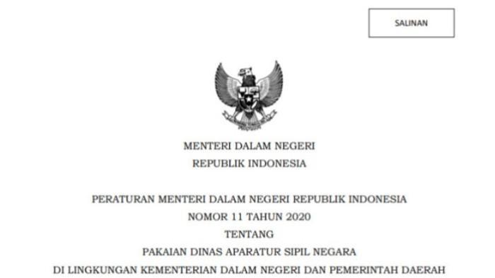 Aturan Pakain Dinas PPPK xnc