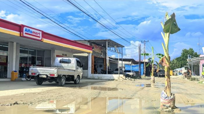 Jalan rusak ditanamai pohon pisang oleh masyarakat