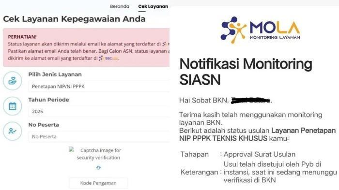 DATA PPPK - Flatform digital bernama Monitoring Layanan (MOLA), untuk memfasilitasi para calon PPPK paruh waktu memantau setiap progres pengusulan NIP.