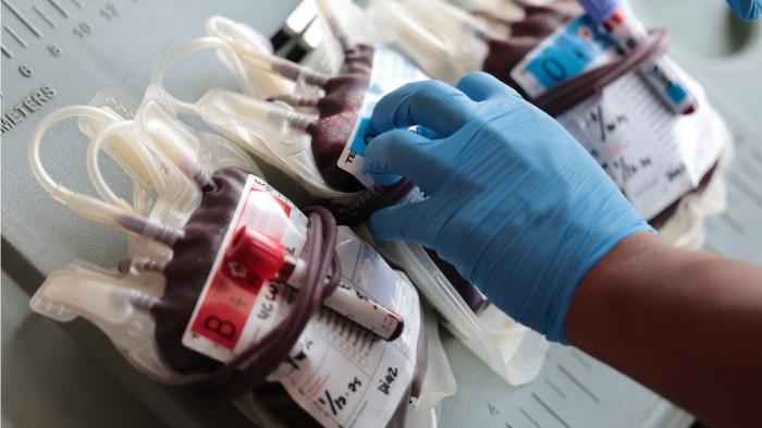 Rayakan Hari Listrik Nasional ke-80, PLN Tebar Kepedulian Lewat Aksi Donor Darah