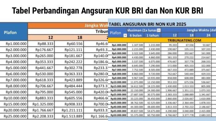 Tabel Perbandingan Angsuran KUR BRI dan Non KUR BRI