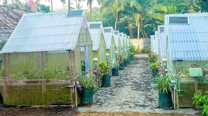 Mandiri Pangan, 43 jenis tanaman pangan yang dibudidayakan tanpa pestisida.