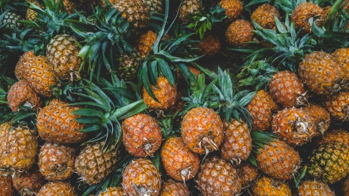 ILUSTRASI FOTO Buah Nanas