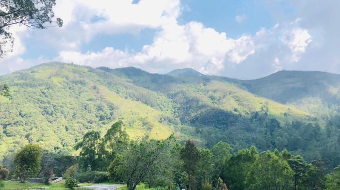 Kebun Aromatik Tawangmangu1