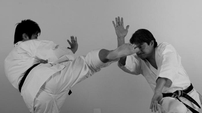 ilustrasi kempo