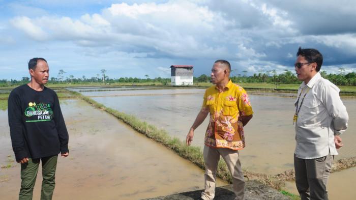 Cetak Sawah di Bulungan 02 14102025.jpg