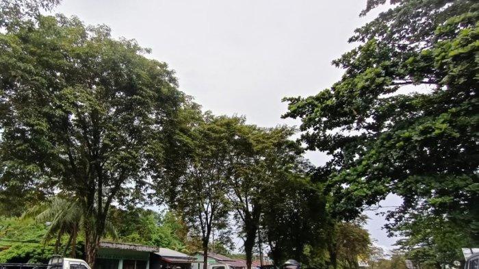 PRAKIRAAN CUACA KALTARA - Cuaca Kaltara di Kota Tarakan hari ini, Senin (19/9/2022) diprediksi  hujan ringan di pagi dan malam hari. Lihat prakiraan cuaca Kaltara (30/10/2025), siang cerah berawan, cek wilayah berpotensi hujan.