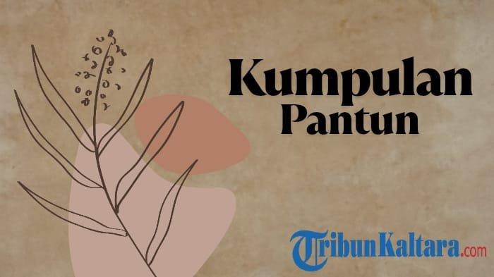 PANTUN KARMINA - Kumpulan pantun. Baca kumpulan pantun karmina berbagai tema berikut ini, sindiran, guyonan hingga nasihat bijak, bagikan di media sosial.