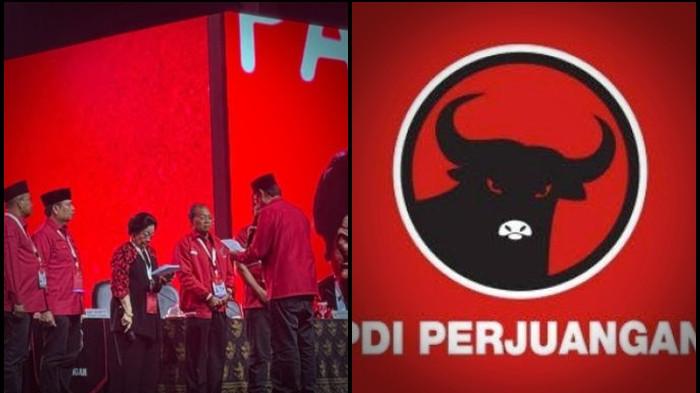 STRUKTUR PDIP -