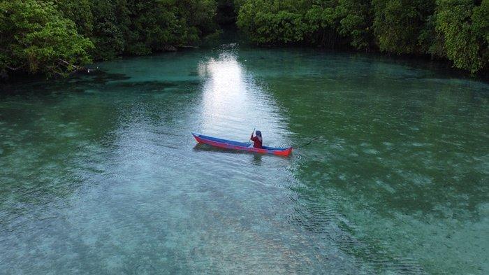 MANGROVE KALTIM - Potret mangrove di wilayah KKP3K-KDPS yang terletak di Kabupaten Berau, Kalimantan Timur. Kawasan ini menyimpan potensi besar untuk pengembangan proyek karbon biru. (HO/YKAN)