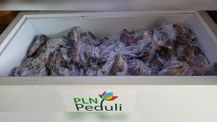 Hasil panen ikan nila milik Pokdakan Nila Balap Maju Mapan disimpan dalam freezer bantuan program PLN Peduli sebagai upaya menjaga kualitas dan memperluas jangkauan pemasaran produk olahan perikanan di Loa Kulu, Kutai Kartanegara, (15/10).