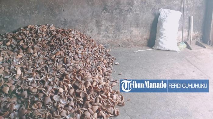 KOPRA - Olahan kopra dalam gudang penampungan yang berada di Kota Manado. Simak rincian harga kopra di Manado - Sulut setelah mengalami kenaikan per Sabtu, 13 September 2025. Para petani pun senang dengan patokan harga Rp 21.700 per kilogram.