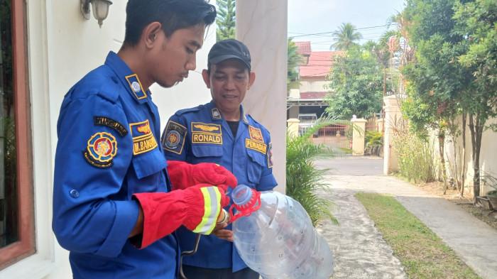 EVAKUASI ULAR - Damkar Manado mengevakuasi anak ular di Jalan Jambore, Lingkungan 5 Kelurahan Winangun Atas, Kecamatan Malalayang, Kota Manado, Sulawesi Utara, Minggu (19/10/2025). Ular tersebut merupakan ular kebun yang kerap ada di tanaman kelapa.