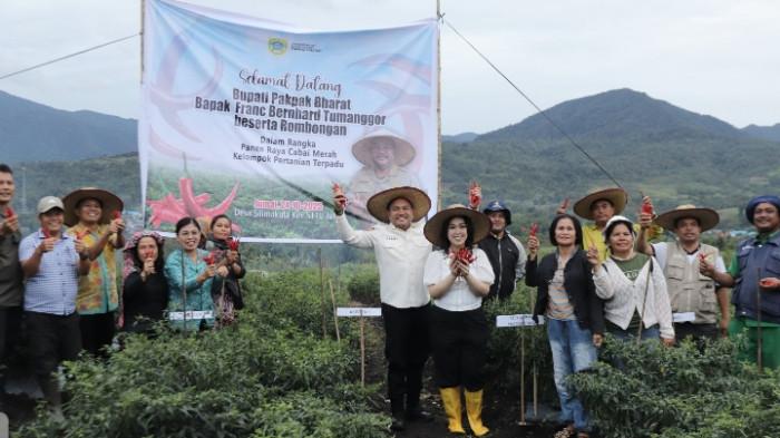 Cabai merah Pakpak Bharat