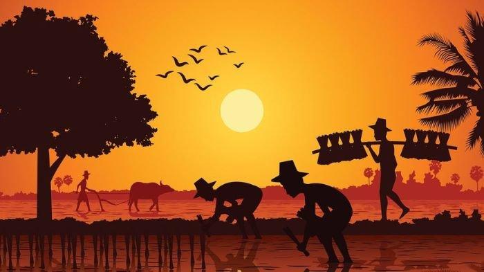 BERTANI- Ilustrasi masyarakat di perdesaan saat melakukan aktivitas pertanian menanam padi di sawah. Menurut Primob Jawa, weton Selasa Pon sangat cocok melakukan aktivitas pertanian hari ini.