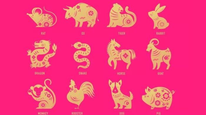 RAMALAN SHIO- Ilustrasi ramalan shio 23 Oktober 2025. Shio Monyet berpeluang hoki.