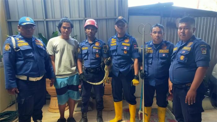 biawak sembunyi di rumah warga di Pauh Padang 25/10/2025