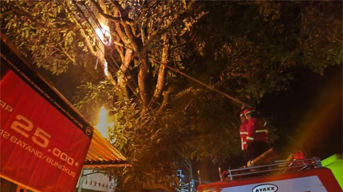 ekseskusi sarang lebah di Bungus Padang 27/10/2025