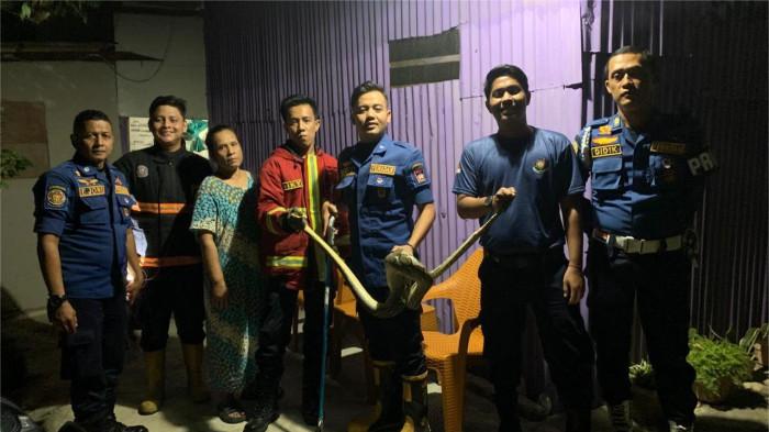evakuasi ular di Kuranji Padang 2 27/10/2025