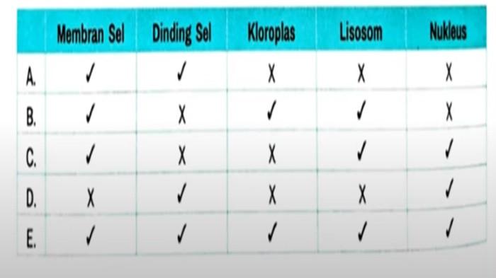 Jawaban no 3 Biologi kelas 11 SMA halaman 31 32