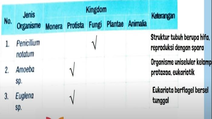 Kunci jawaban 1 Biologi kelas 10 SMA halaman 49-50