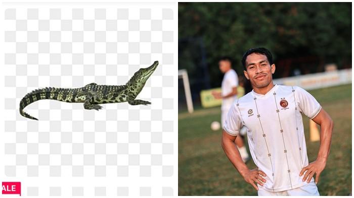 WINGER SFC SAHBANDI - Sahbandi, winger anyar Sriwijaya FC yang siap mengarungi kompetisi Pegadaian Championship League 2025/26 memiliki julukan Buaya.