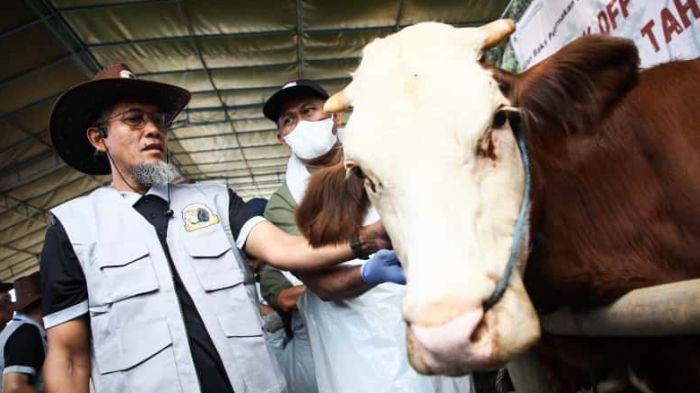 VAKSINASI - Acara peringatan Bulan Bhakti Peternakan dan Kesehatan Hewan tingkat Provinsi Jateng, di Agro Center Soropadan, Kabupaten Temanggung, Sabtu, 27 September 2025. Pemerintah Provinsi Jawa Tengah akan melakukan vaksinasi penyakit kuku dan mulut (PMK) kepada minimal sebanyak 1 juta hewan ternak di wilayahnya pada 2025, hal ini untuk menggenjot produksi daging.