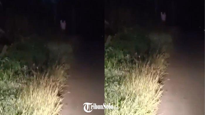 BIKIN GEGER - Warga Kecamatan Pracimantoro digegerkan beredarnya video penampakan kuntilanak, belum lama ini. Disebutkan video itu terekam di jalanan yang masuk wilayah Pracimantoro.