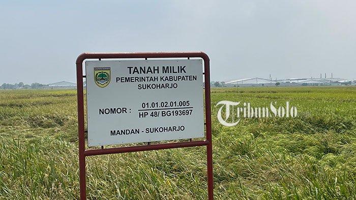 ILUSTRASI. Tanah milik Pemerintah di Kabupaten Sukoharjo. Kini Pemkab sedang mengajukan lahan untuk dibangun sekolah rakyat.