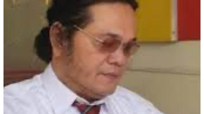 profile tribunners