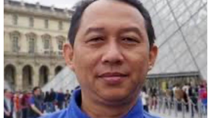 profile tribunners