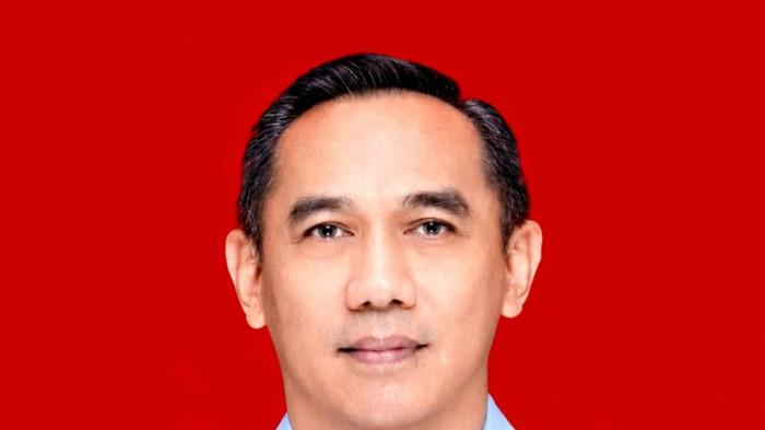 profile tribunners