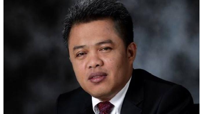 profile tribunners
