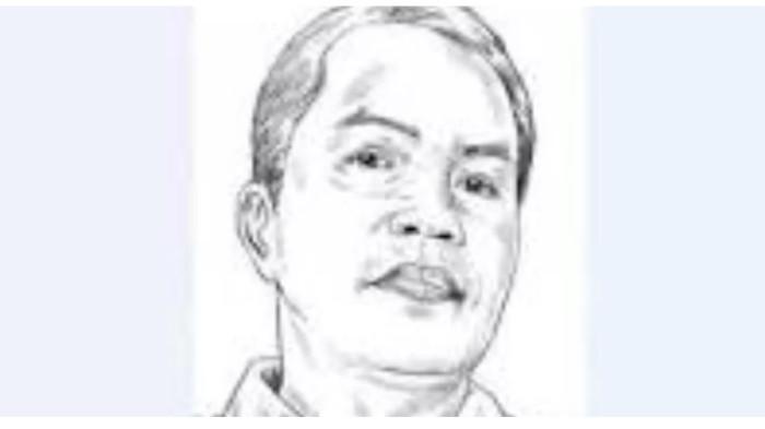 profile tribunners