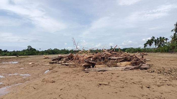 BANJIR ABDYA - Kondisi areal persawahan milik Kelompok Padang Jati, Gampong Padang Baru, Kecamatan Susoh, Kabupaten Aceh Barat Daya (Abdya) rusak parah akibat diterjang banjir luapan sungai Krueng Beukah, pada Minggu malam (9/11/2025).