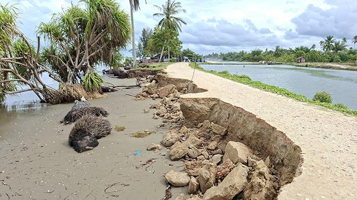 1.200 Meter Pesisir Pantai Aceh Timur Abrasi, Jalan Desa Matang Rayeuk PP Nyaris Putus