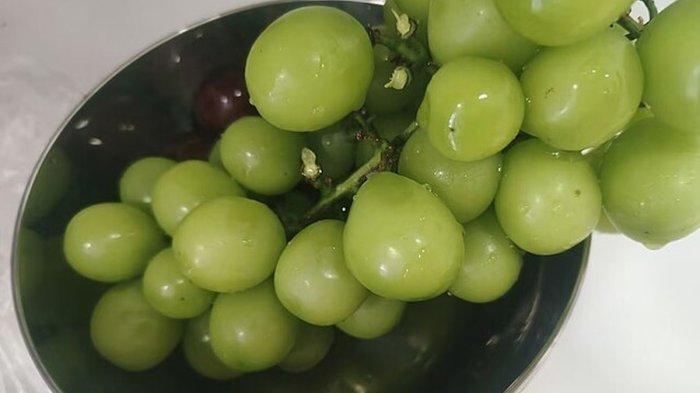 ILUSTRASI Anggur Muscat.